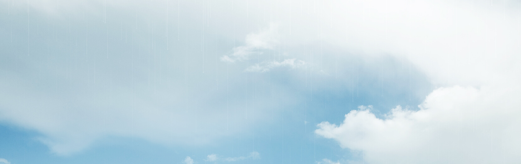 正宗阿胶产自盛力国际县