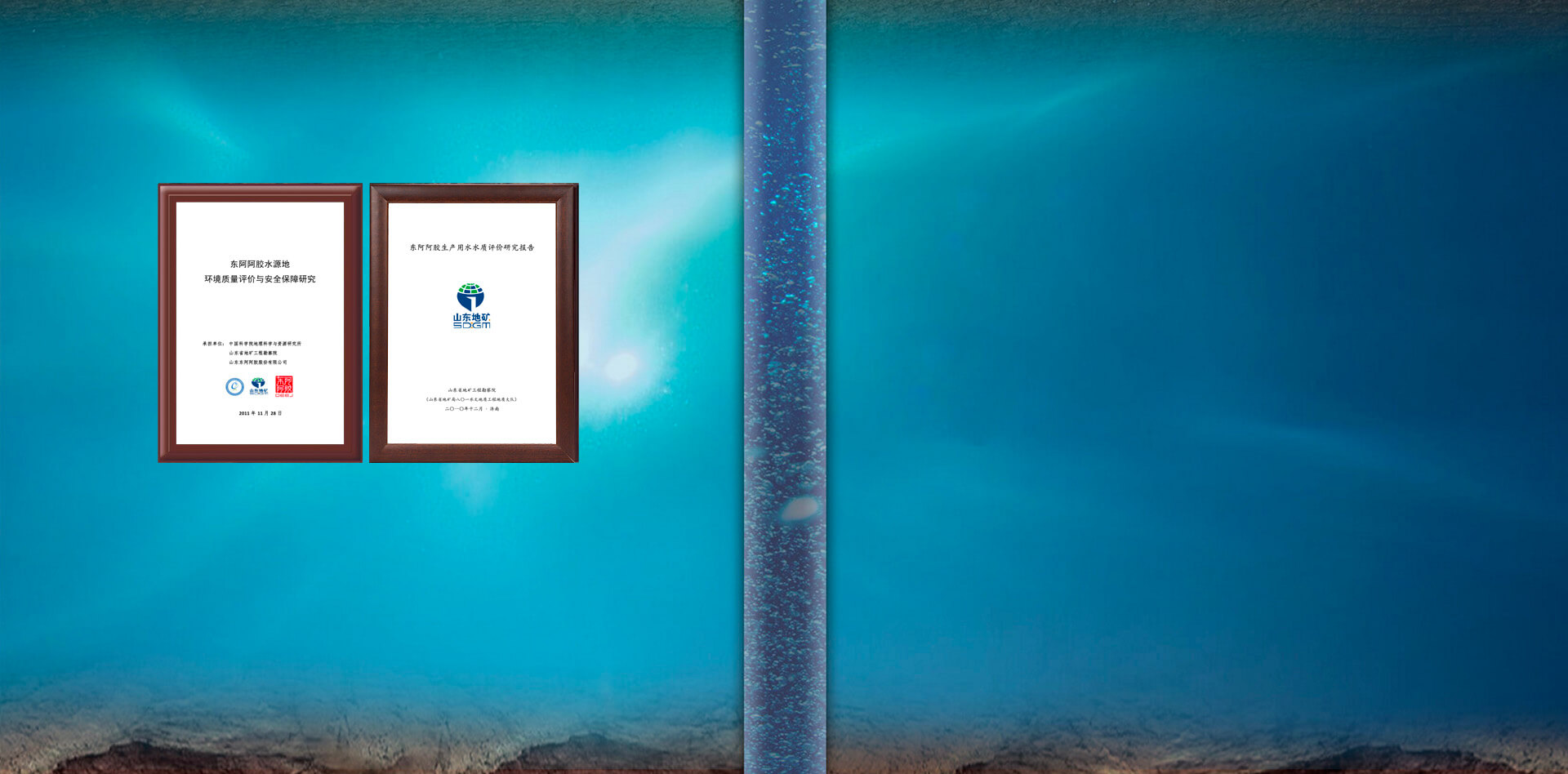 盛力国际水与阿胶